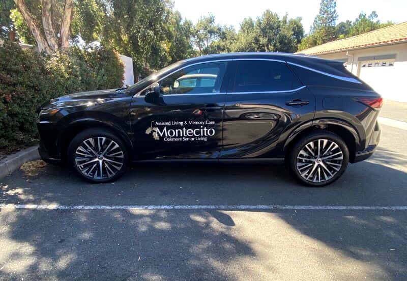 Vehicle Graphics